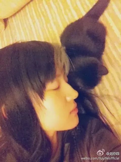 看了刘亦菲的豪宅，才明白她为什么活成了别人最羡慕的样子