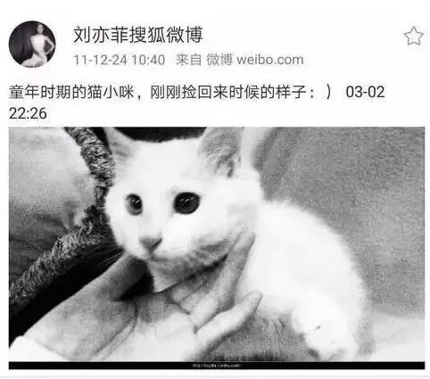 看了刘亦菲的豪宅，才明白她为什么活成了别人最羡慕的样子