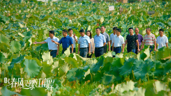 《春风又绿江南岸》完美收官“温暖现实主义”精品剧记录时代新风