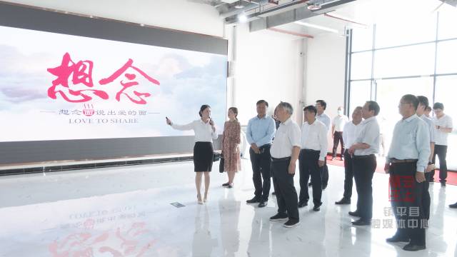 中原经济发展研究院专家到镇平调研