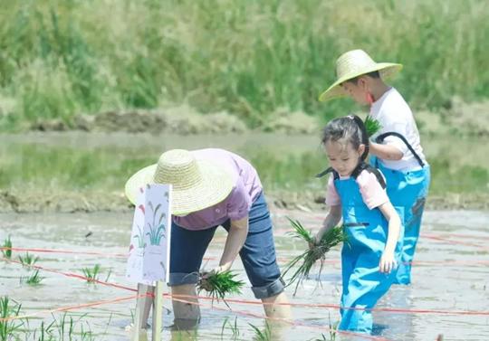 这个夏天微风正好，到中牟共赴一场浪漫的露营之旅