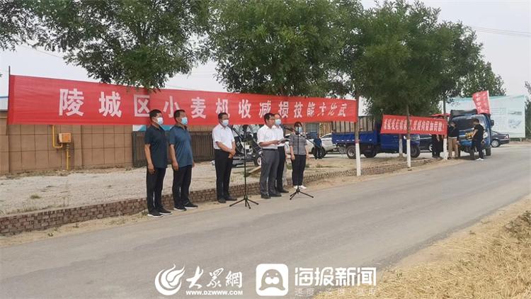 德州陵城區(qū)：機(jī)收減損大比武 麥地“過招”促顆粒歸倉
