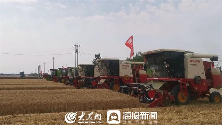 德州陵城區(qū)：機(jī)收減損大比武 麥地“過招”促顆粒歸倉