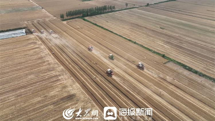 德州陵城區(qū)：機(jī)收減損大比武 麥地“過招”促顆粒歸倉