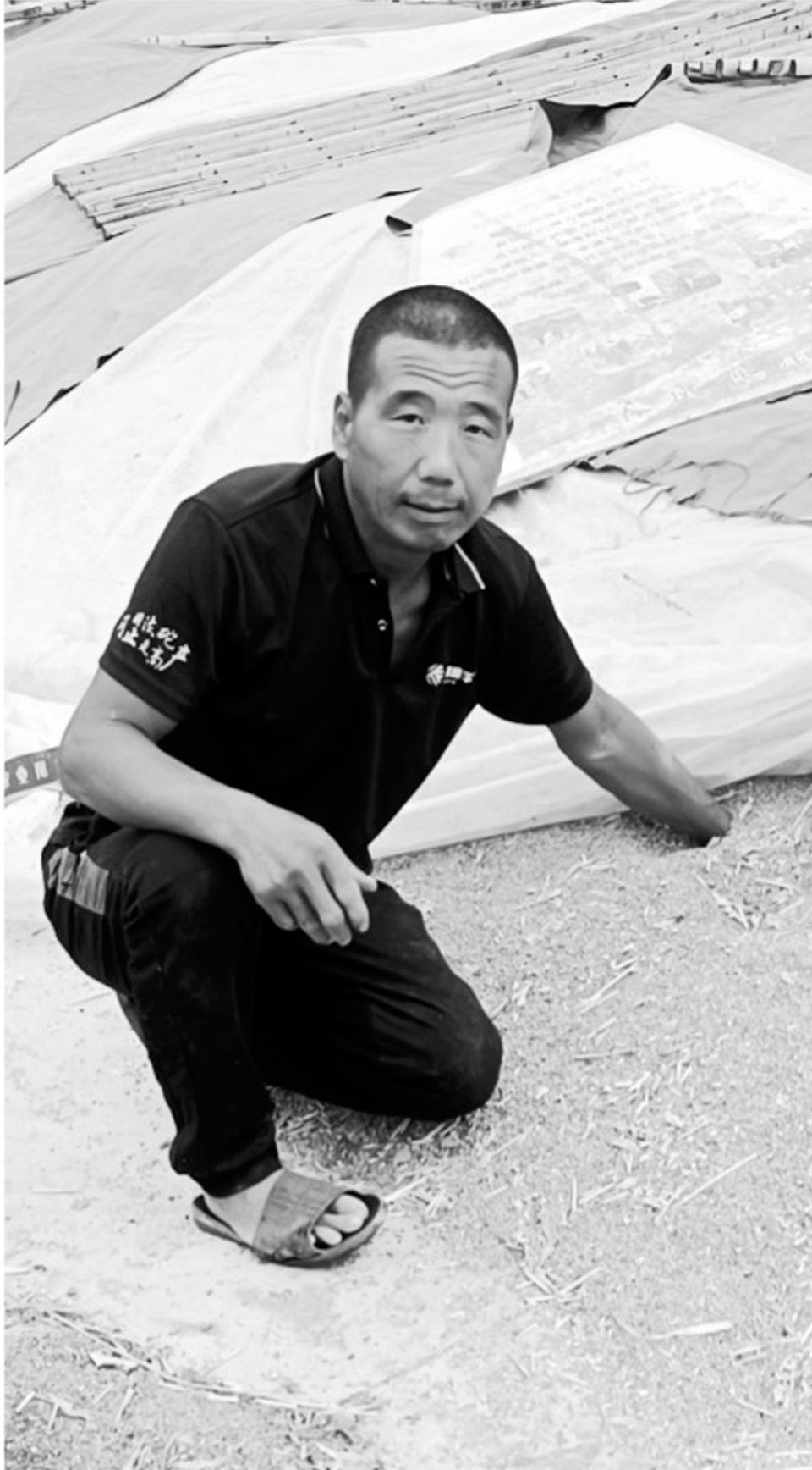 種糧大戶的“意外”豐收季：一天不入倉，就不能算豐收