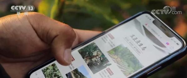 全国实物商品网上零售额同比增长5.6%