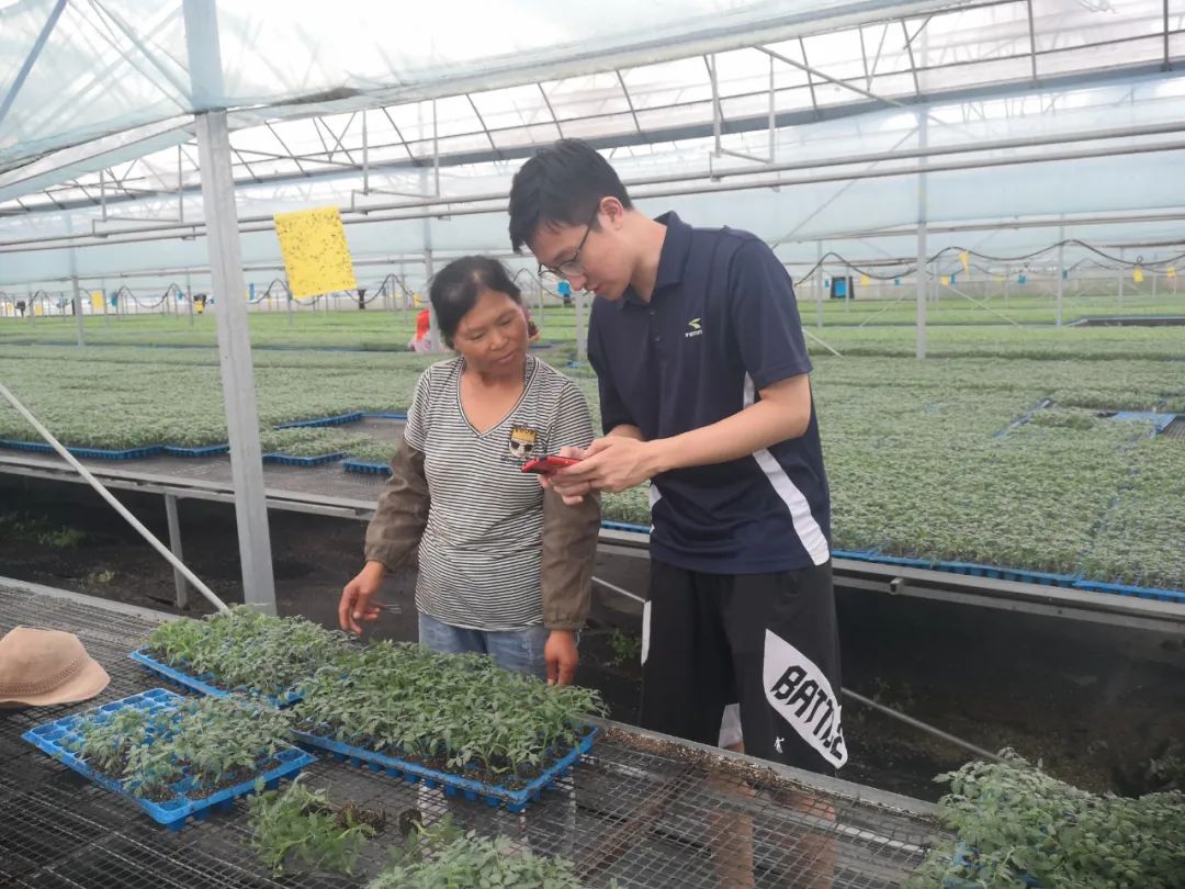 半月談丨7000多名學(xué)生寒假走訪2000多個(gè)村：把論文寫在大地上，把鄉(xiāng)村振興的種子種在心中
