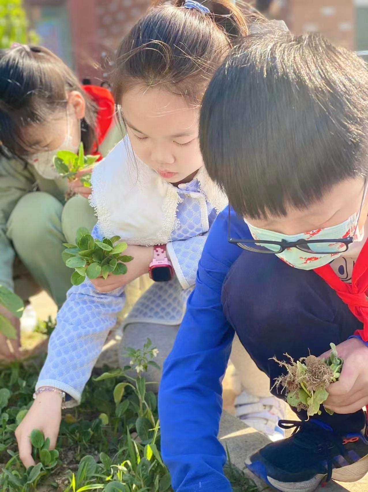 沭阳县第一实验小学多措并举减负提质(图5)