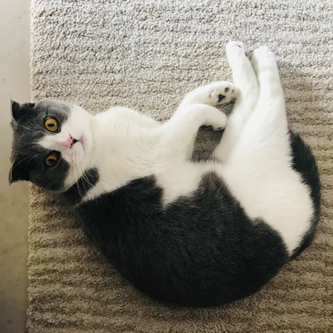 写代码的新手父亲，和他独立做的11个app