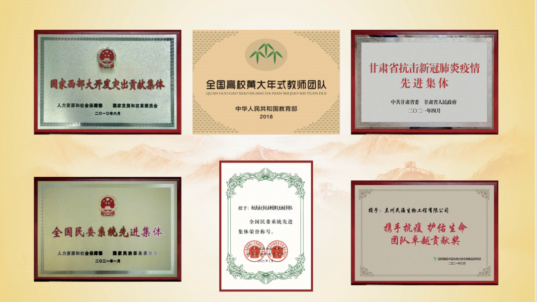 西北民族大学全国高校黄大年式教师团队：教学与科研并举 立德与育人并重丨我们的教育故事