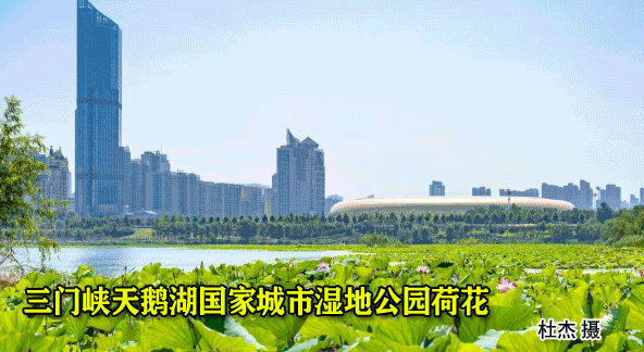 三门峡律师（省级名单公布）