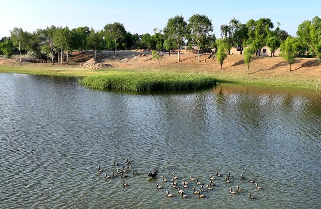 陕西靖边：芦河湿地水清景美