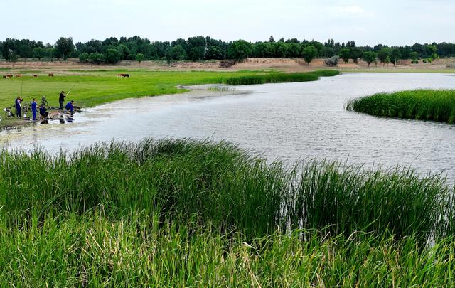 陕西靖边：芦河湿地水清景美