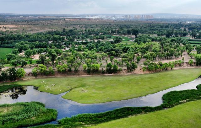陕西靖边：芦河湿地水清景美