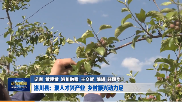 平利、大荔入选国家级项目名单！洛川人才资源向产业一线聚集