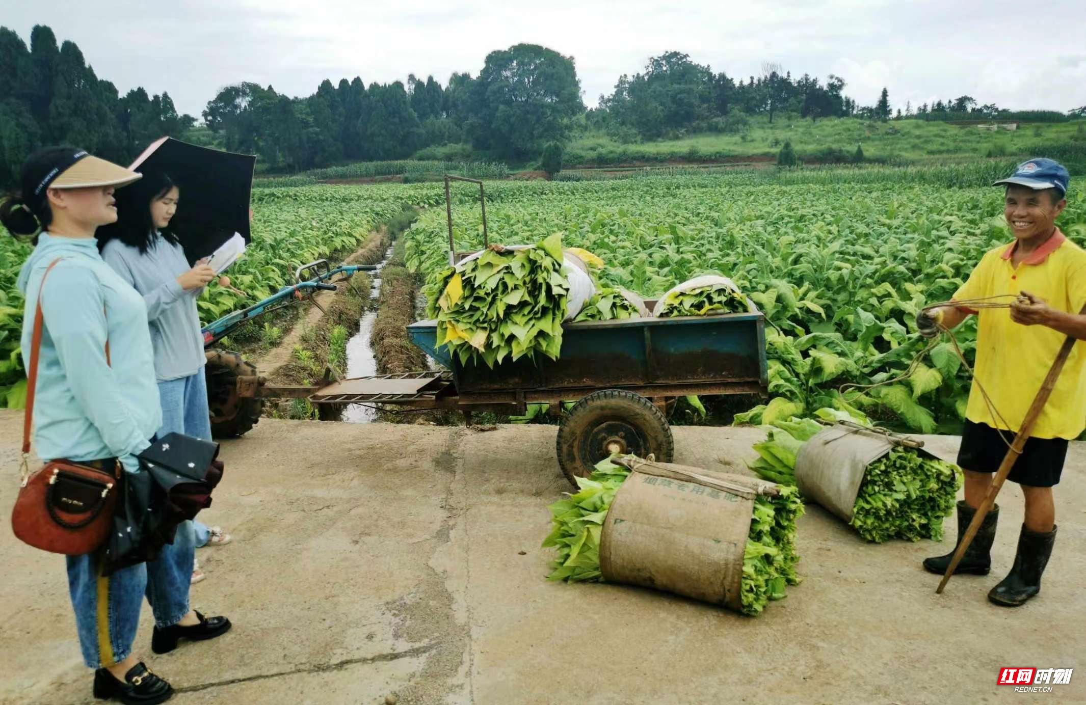 嘉禾石橋鋪中學(xué)：“走”出感情“訪”出實效(圖2)