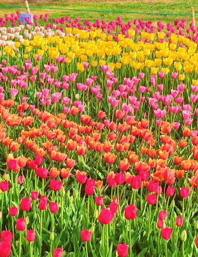 避暑胜地——山西重走梁林之路，穿越千年的古迹