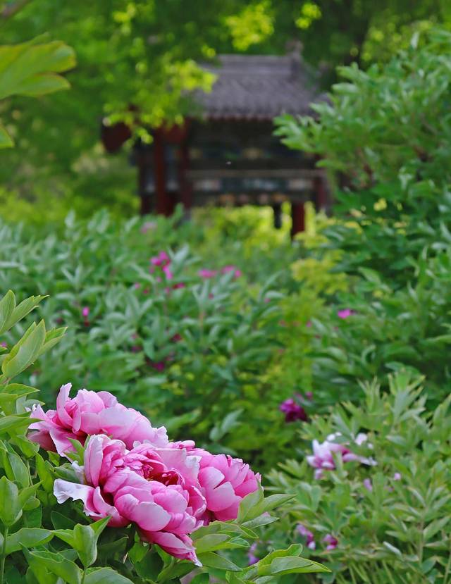 避暑胜地——山西重走梁林之路，穿越千年的古迹