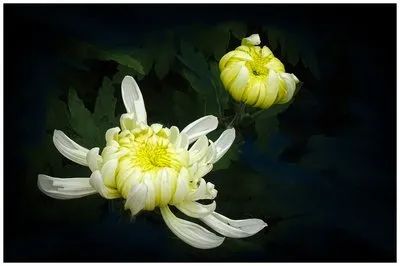 「缅怀」技震江淮-烹坛奇葩 ||吴明千