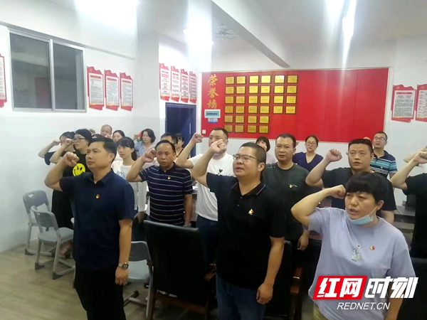 邵阳市第十三中学党支部开展主题党日活动(图1)