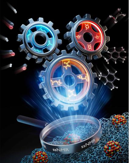 固体核磁共振“超级放大镜”观察催化反应网络