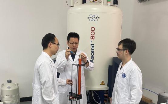 固体核磁共振“超级放大镜”观察催化反应网络