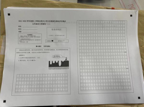 肥市芙蓉小学五年级作文题，火了(图2)