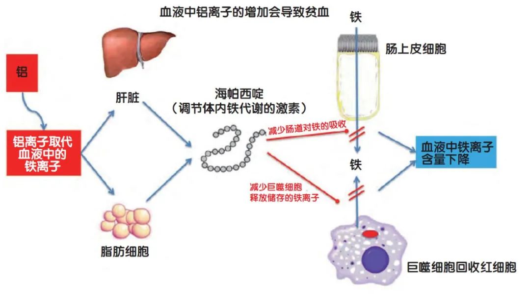 如果我们都是“铝”人……