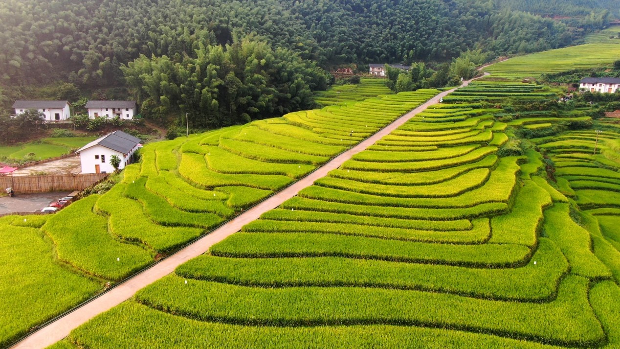 赣南苏区振兴十周年｜这一天，我们亲眼看见了哪些风景