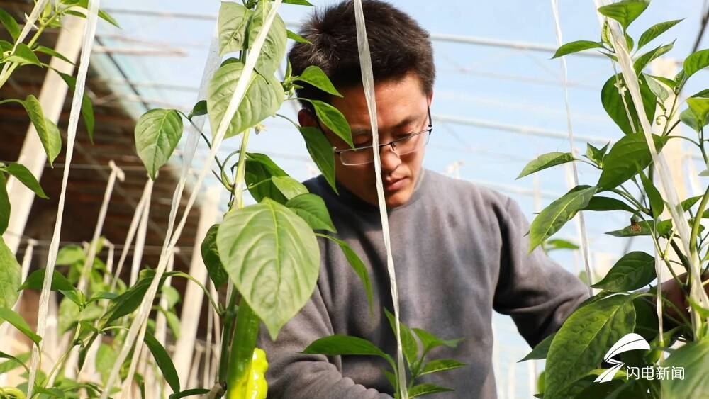 “棚二代”品牌越来越响 耿遵珠：让农民成为有吸引力的职业