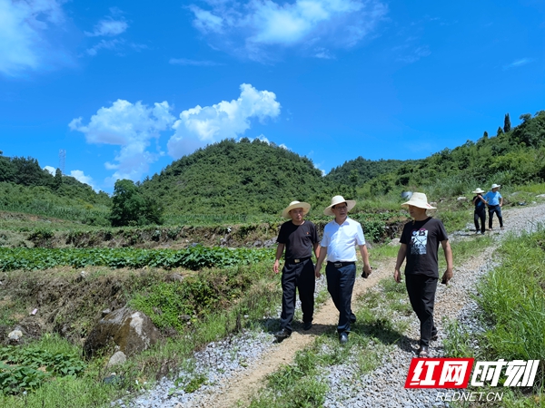 足球队长高凯龙超文章(陈建新深入青龙村走访调研乡村振兴工作)