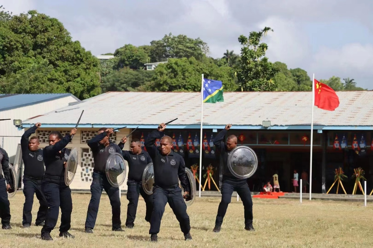 ������Ⱥ������չʾ�������������ѵ�ɹ��������������