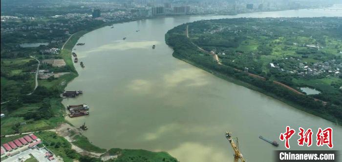 揭秘西江流域的底栖生物世界