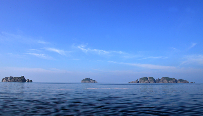 ָзеΪҹذۣýӦй洬