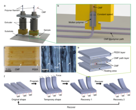 吉林大学、华中科技大学联合研究-形状记忆聚合物共挤出4D打印策略