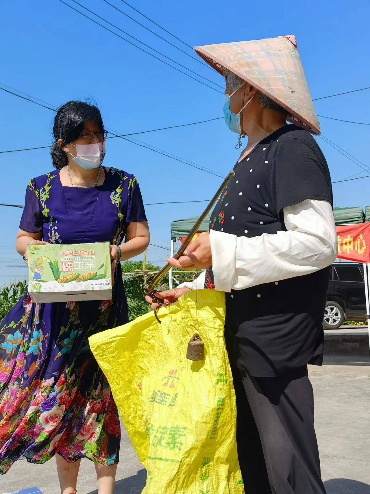 “爱驻金山糯玉米”公益助农项目进行田间发布