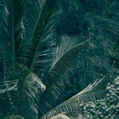 民国剧是从什么时候厌弃落尾眉的？