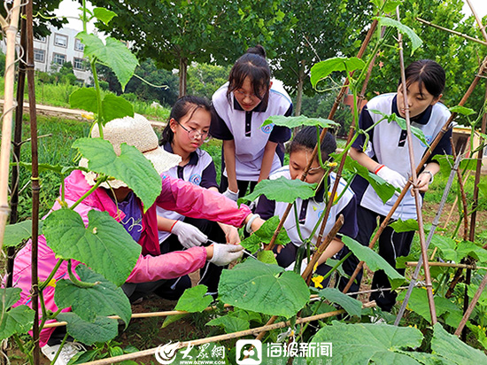 2022潍坊滨海三中学期末师生劳动扮靓校园(图2)