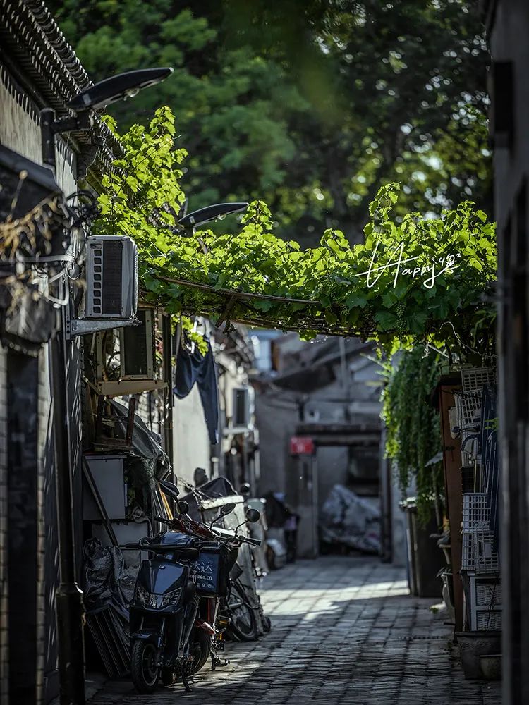 扫街实拍分享，玩转老北京胡同光影