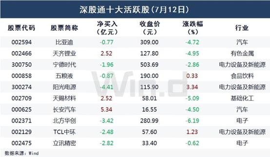 新能源赛道持续承压，首批基金二季报透露重要信号