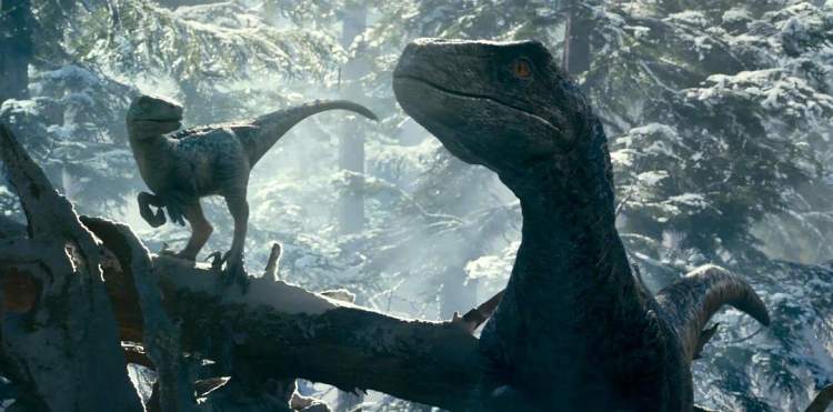 《侏罗纪世界3》恐龙补课：霸王龙巨兽龙镰刀龙三足鼎立，“小小蓝”萌翻观众