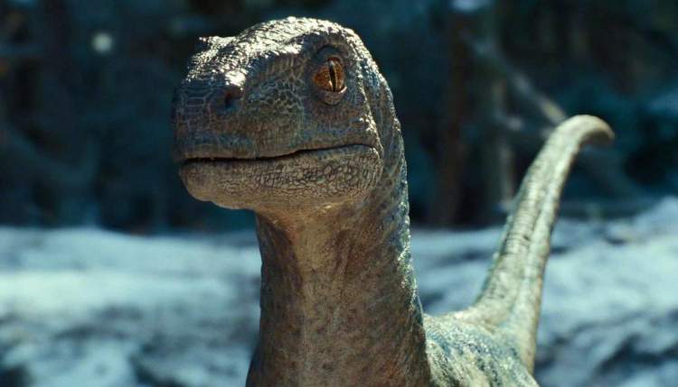 《侏罗纪世界3》恐龙补课：霸王龙巨兽龙镰刀龙三足鼎立，“小小蓝”萌翻观众
