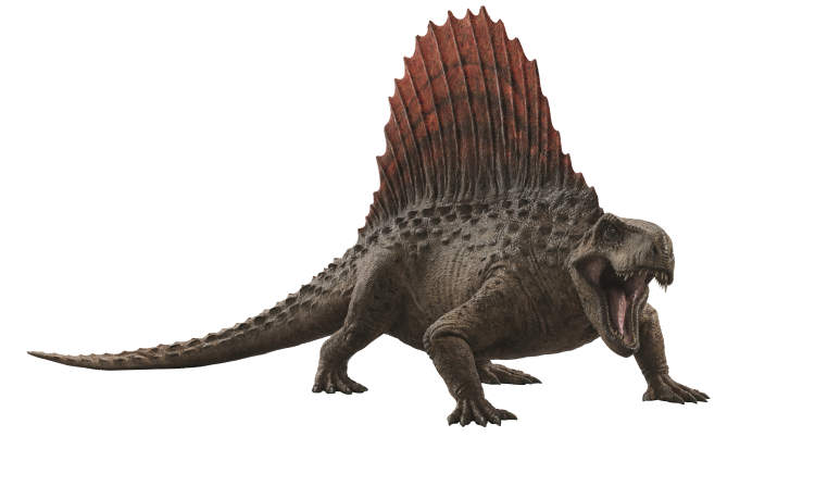 《侏罗纪世界3》恐龙补课：霸王龙巨兽龙镰刀龙三足鼎立，“小小蓝”萌翻观众