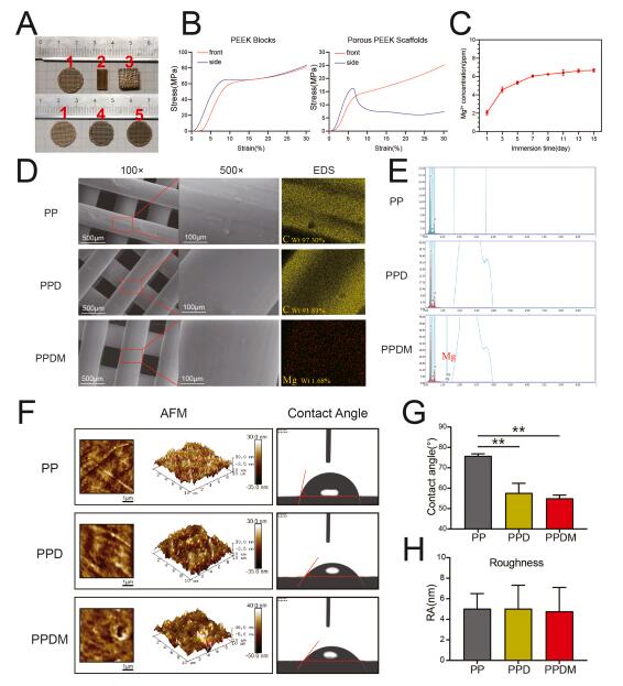 四军大与北大联合研究：3D打印表面活化镁离子的多孔聚醚醚酮支架