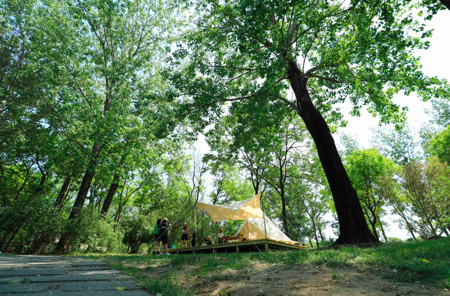 戏水、大巡游、帐篷露营……世界公园开启消夏模式