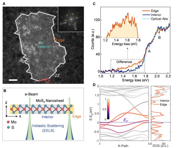国家纳米中心在MoS2边缘态以及载流子扩散和解离动力学研究中取得进展