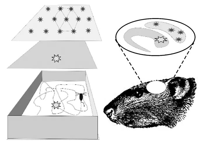 65周年 | 刘经南：PNT智能与智能PNT