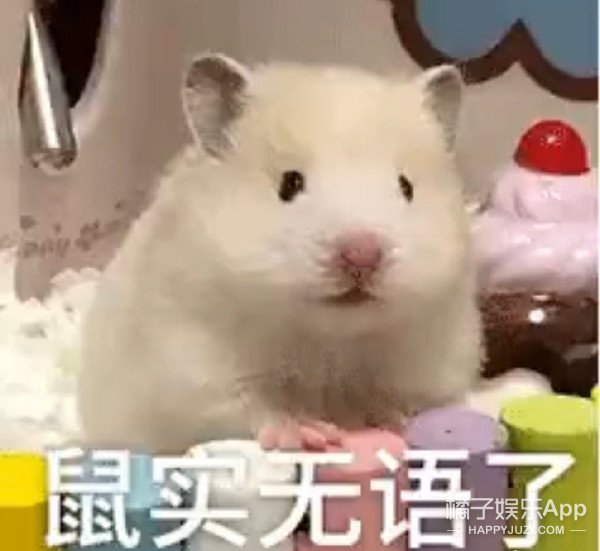 亲手拆cp上热搜了？徐梓童称帮助向琴琴是手欠，被网友骂下头？