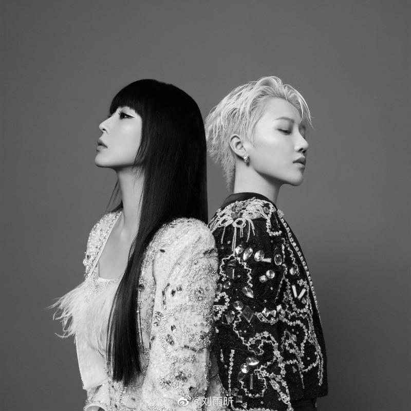 录音细节今日曝光：刘雨昕跨国“上网课”八小时