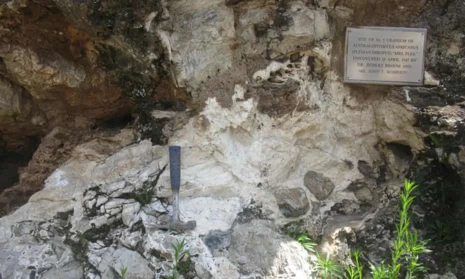 南非版的露西祖母？科学家发现南非洞穴里的普莱斯夫人老了100万年